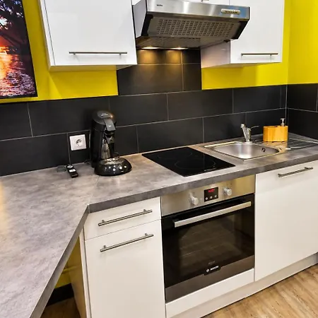Duplex T2 Neuf Jardin Lecoq * Clermont-Ferrand