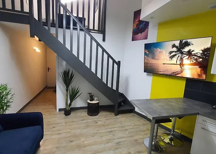 Duplex T2 Neuf Jardin Lecoq Clermont-Ferrand